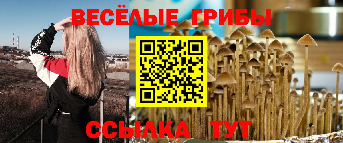 купить наркоту  Галлюциногенные грибы MAGIC MUSHROOMS  Вход с VPN  Апатиты 